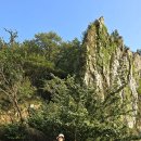 달마고도 이미지