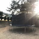 클럽아이리스 이미지