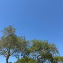 준GOLF | 골프피니쉬 레슨 필요한 이유와 후기 시네바힐스Cinnabar Hills Golf Club라운딩 후기