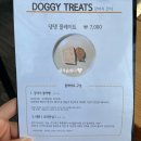 댕댕플레이트