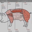 등촌생고기 이미지