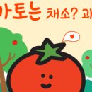 과일의시작야미