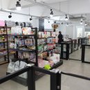 도그스타일 이미지