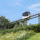 장생포로 이미지