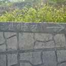 청림엔지니어링