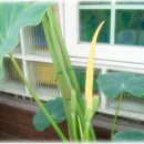 토란어린이집 이미지