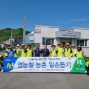 홍천자재 이미지