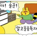 25센치 - 수영구 수영로702번길 28 | 25센치