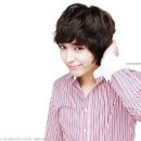 바비 펫 이미지