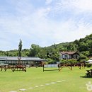 죽청대파니마을 이미지