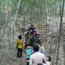 도토리숲속학교 이미지