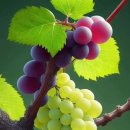 보령요양원 이미지