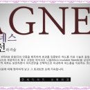 아그네스 이미지