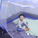 피리부는냥이 이미지