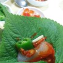 맘모스회센타