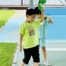 자유놀이 및 바깥놀이 모음zip.📸(사진 많아요) 이미지