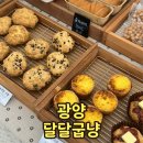 광양 가성비좋은 빵집 달달굽냥 소금빵맛집