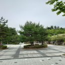 쇠죽골천 Daum카페