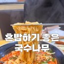 국수나무KNK