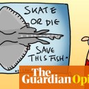 The Cats & Dog 이미지