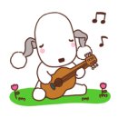 KNOLLO(놀로) 이미지