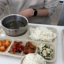 유림-1054 이미지