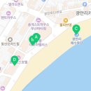 부산광역시 수영구 광안해변로 219 (광안동) 수영구 생활문화센터 앞 네이버블로그