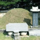 마재 이미지