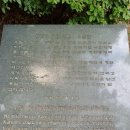 부영양행
