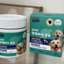 민들레자원 | 비숑프리제 켁켁 거림 거위소리 강아지 기관지 영양제 뚜뚜비앙 급여후기