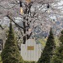 성주맛집 이미지