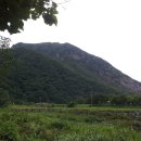 천등산농원 이미지