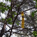 영광사슴목장 이미지