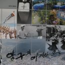 양구근현대사박물관 Daum카페