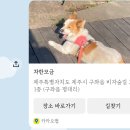 고가네김밥 이미지