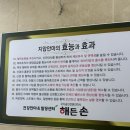 해든손 지압원 이미지