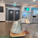 엘리시안 강촌 골프연습장 이미지