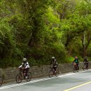 풍년가든 이미지