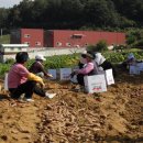 도당1리 이미지