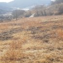 장기농장 이미지