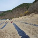 일한농장 이미지