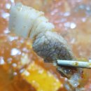 미화식당 이미지