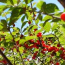 세븐일레븐 외동점 이미지