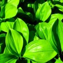 기명농장 이미지