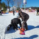 휘닉스파크 이미지