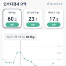 다름이네채소 | 마운자로 체지방-5kg 후기 초간단 다이어트 식단