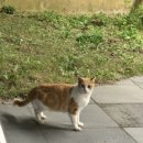 북한강펜션 이미지