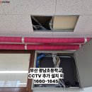 광남초등학교 이미지