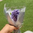 한국에서 미국으로 택배 배송/이사 (KT 익스프레스)