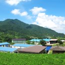 흥국농장 이미지